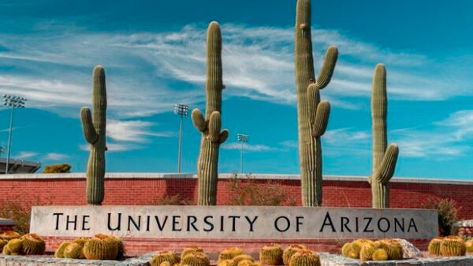 University of Arizona Fully Funded Scholarships 2026–27 in the USA - Glorno