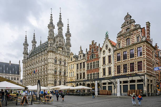 Belgium Government ARES International Training Scholarships 2027 (Fully ...